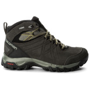 Чоловічі черевики Salomon Evasion 2 Mid Ltr GTX®