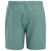 Чоловічі шорти Regatta Hadlin Shorts