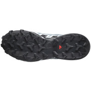 Жіночі черевики Salomon Speedcross 6 Gore-Tex
