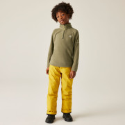 Дитяча толстовка Dare 2b Freehand Fleece MartiniOlive