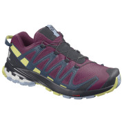 Жіночі черевики Salomon Xa Pro 3D V8 GTX W
