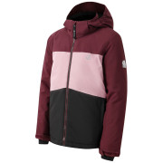 Дитяча гірськолижна куртка Dare 2b Send It! Jacket