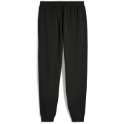 Чоловічі спортивні штани Puma ESS 2 Color No. 1 Logo Sweatpants FL cl