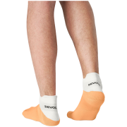 Шкарпетки Devold Endurance Merino Low Sock