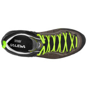 Чоловічі черевики Salewa MS MTN Trainer 2 L