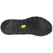 Чоловічі черевики Regatta Cruize