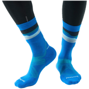 Шкарпетки Smartwool Run Cold Weather Targeted Cushion Horizo
