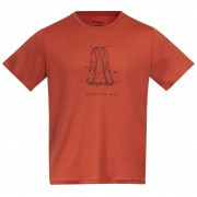 Чоловіча футболка Bergans Graphic Wool Tee червоний