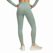 Жіночі легінси Under Armour Vanish Seamless Legging