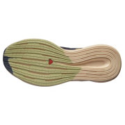 Жіночі кросівки Salomon Spectur W
