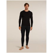 Чоловічий функціональний комплект Icebreaker M 175 Everyday LS Crewe and Leggings Set