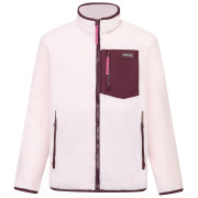 Дитяча функціональна толстовка Regatta Junior Frankie Warm Fleece Pink Haze/Fig світло-рожевий Pink Haze/Fig
