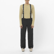 Чоловічі штани Salomon Brilliant Pant M
