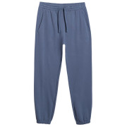 Чоловічі штани 4F Trousers Cas M1139