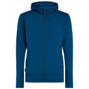 Чоловіча функціональна толстовка Icebreaker M Mer 260 Quantum IV LS Zip Hoodie