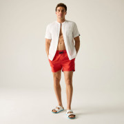 Плавки Regatta Mawson Swim Shorts III
