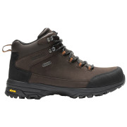 Чоловічі туристичні черевики Regatta Burrell Leather Boot II темно-коричневий Peat