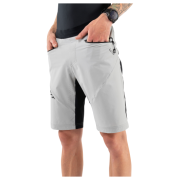 Чоловічі шорти Dynafit Traverse Dst Shorts M