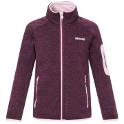 Дитяча толстовка Regatta Junior Newhill Fig Powder Lilac червоний FigPowLilac
