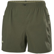 Жіночі шорти Helly Hansen W Vista Hike Shorts зелений UTILITY GREEN
