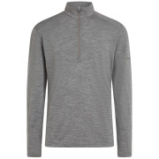 Чоловіча функціональна толстовка Icebreaker Men Merino 200 Oasis LS Half Zip