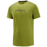 Pánské triko Salomon Agile Graphic Tee M zelená Avocado heat
