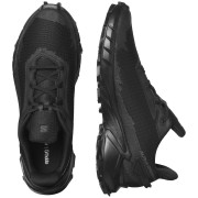 Чоловічі кросівки Salomon Alphacross 4