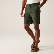 Чоловічі шорти Regatta Dalry Short