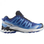 Чоловічі черевики Salomon Xa Pro 3D V9