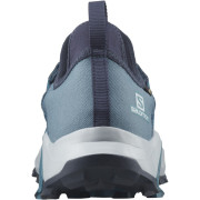 Чоловічі черевики Salomon Madcross Gore-Tex M