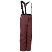 Дитячі зимові штани Dare 2b Outmove III Insulated Pant Huckleberry