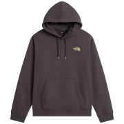 Чоловіча толстовка The North Face U Nse Slopes Relaxed Hoodie - Graphic сірий ANTHRACITE GREY