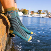 Чоловічі шкарпетки Darn Tough Wild Life Crew Lightweight With Cushion