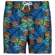 Плавки Regatta Loras Swim Short