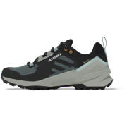 Жіночі черевики Adidas TERREX SWIFT R3 GTX W