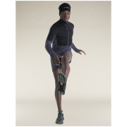 Чоловіча функціональна толстовка Icebreaker M Mer 200 Realfleece Descender LS Half