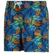 Плавки Regatta Loras Swim Short
