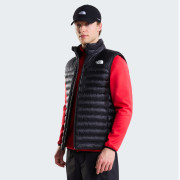Чоловіча жилетка The North Face M Terra Peak Vest
