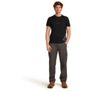 Чоловіча футболка Icebreaker Men Merino 150 Tech Lite SS Tee 30th Anniversary