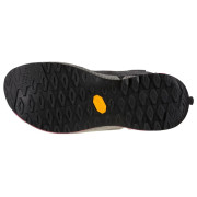 Жіночі черевики La Sportiva TX2 Evo Leather Woman