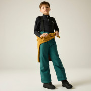 Дитячі лижні штани Dare 2b Outmove III Insulated Pant Mediterranea