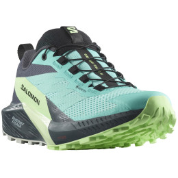 Жіночі кросівки Salomon Sense Ride 5 Gore-Tex синій/зелений