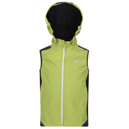 Дитяча жилетка Regatta Acidity B/W зелений