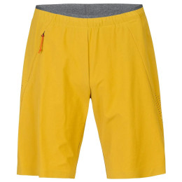 Чоловічі шорти Hannah Track