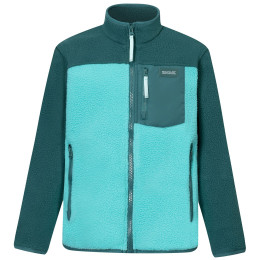 Дитяча функціональна толстовка Regatta Junior Frankie Warm Fleece Mediterranea/Turquoise зелений/темно-зелений Mediterranea/Turquoise