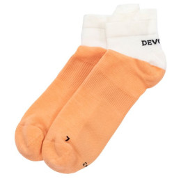 Шкарпетки Devold Endurance Merino Low Sock