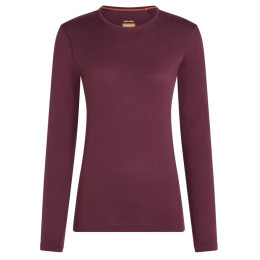 Жіноча футболка Icebreaker Women's 200 Oasis Long Sleeve