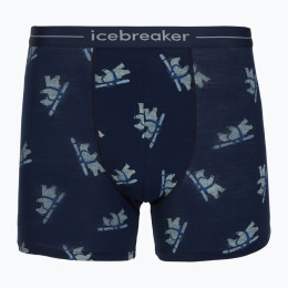 Чоловічі функціональні боксерки Icebreaker Men M 150 Anatomica Boxers BearTourAOP