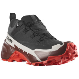 Чоловічі туристичні черевики Salomon Cross Hike 2 Gore-Tex