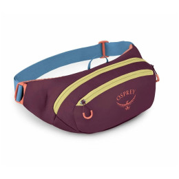 Поясна сумка Osprey Daylite Waist Pack